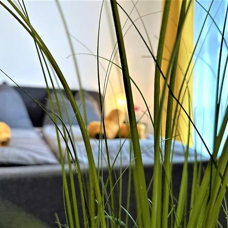 Gemuetliches Studio Im Bayerwald +Pool +Sauna +Wifi Zwiesel Esterno foto